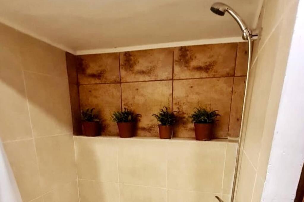 Espacio Borde Rio, Casa Pisqu Apartment